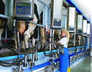 
	Les salles de traite en épi DeLaval répondent aux demandes des éleveurs laitiers d’aujourd’hui recherchant un profit élevé en associant les technologies de pointe avec des composants de haute technologie pour offrir une solution de traite globale.

	Fiche technique salle de traite en épi 30° 
